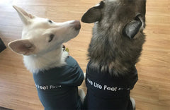 Xero T-Shirts
